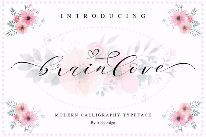 Brainlove - Beautiful Modern Calligraphy